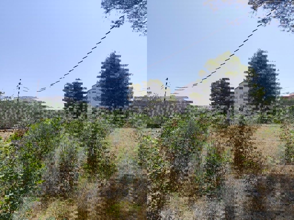 BILICE