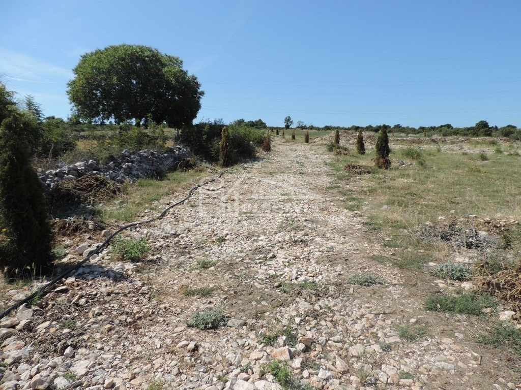 image 14