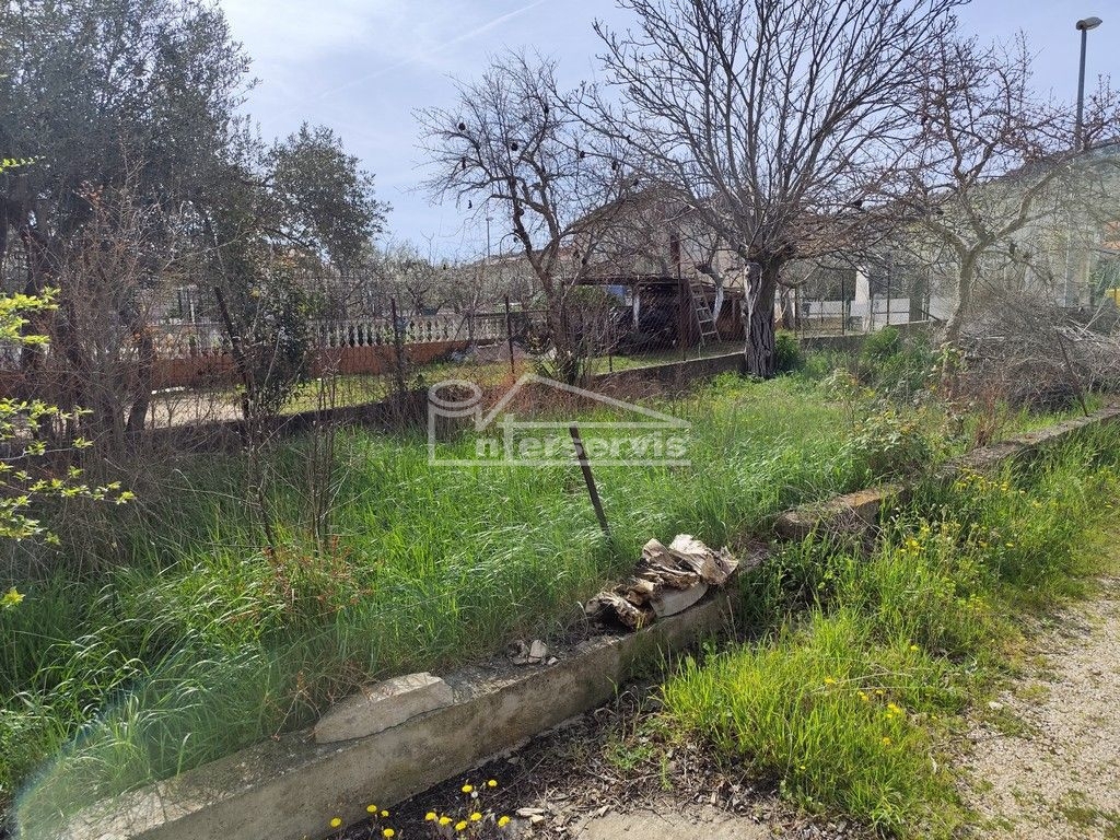 image 37