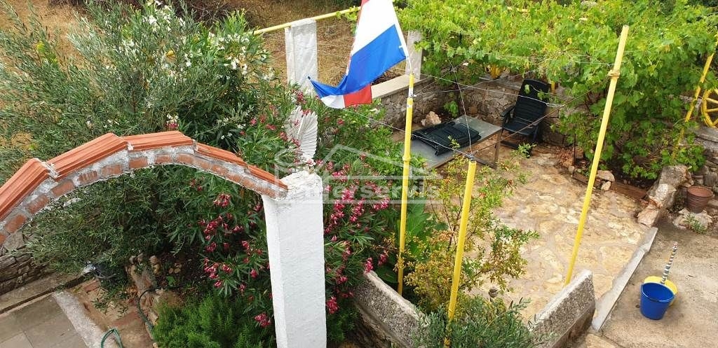 image 30