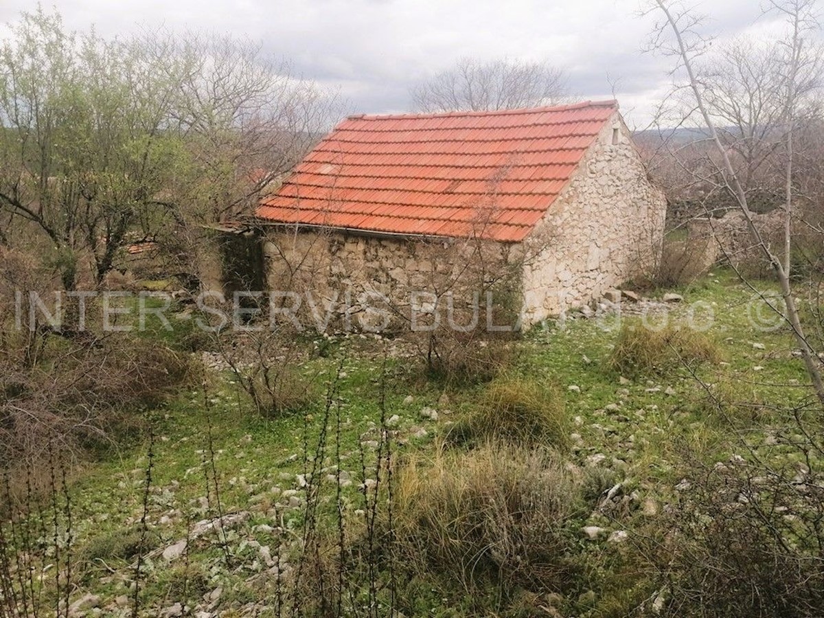 SONKOVIĆ