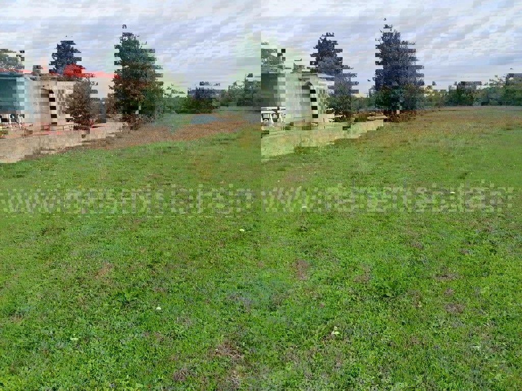 DRNIŠ