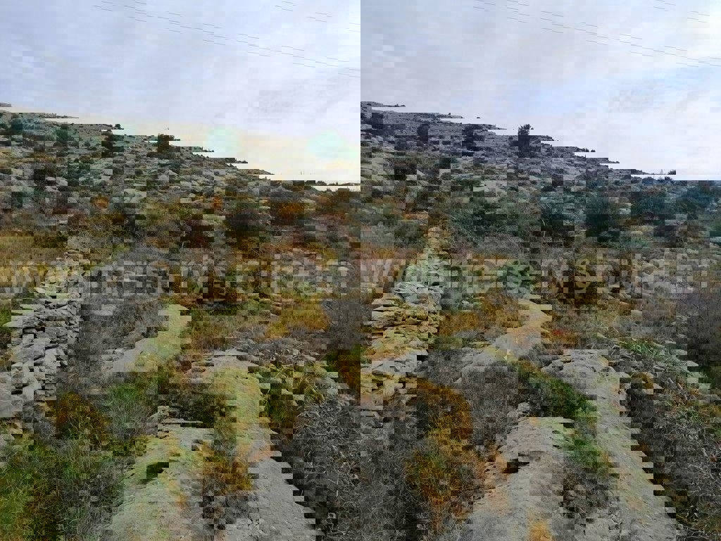 GREBAŠTICA