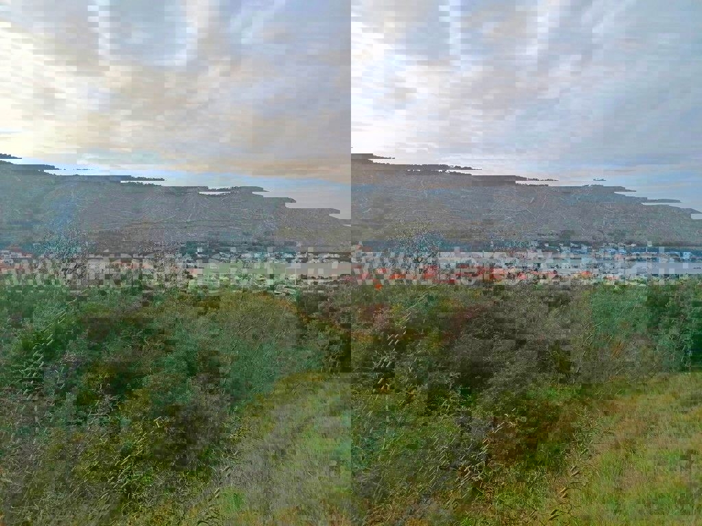 GREBAŠTICA