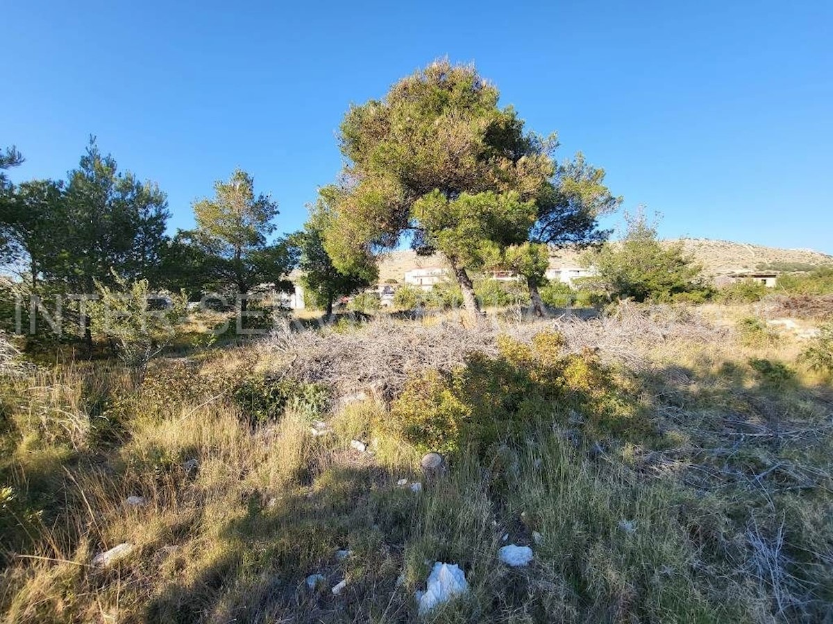 GREBAŠTICA
