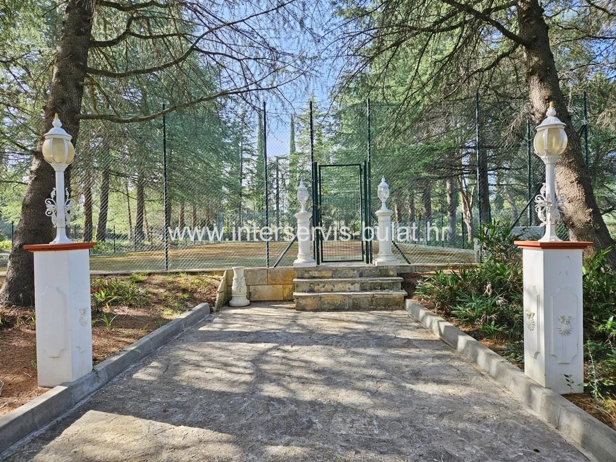 image 33