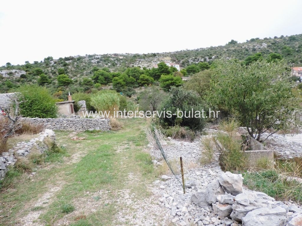 image 13