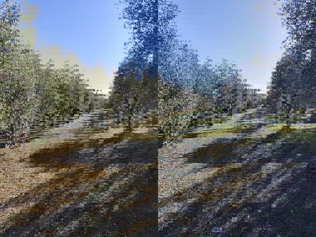 Участок SKRADIN, 30.772 €