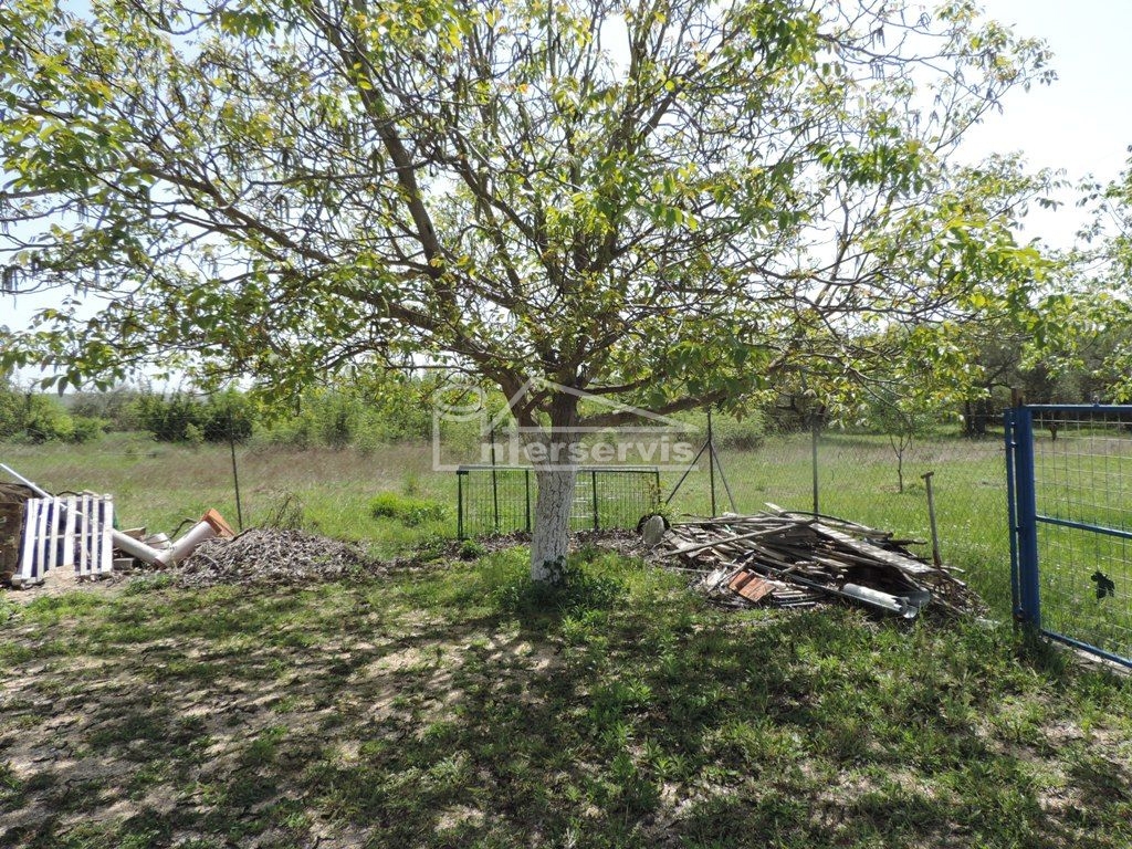 image 35