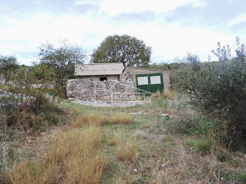 image 15