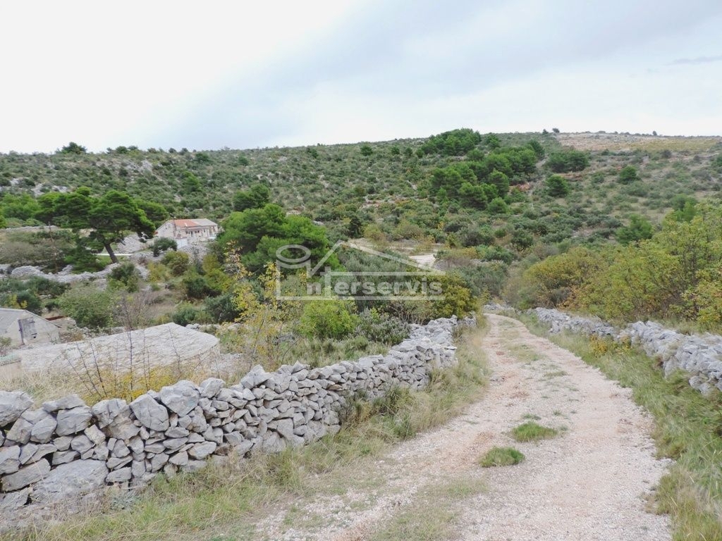 image 23
