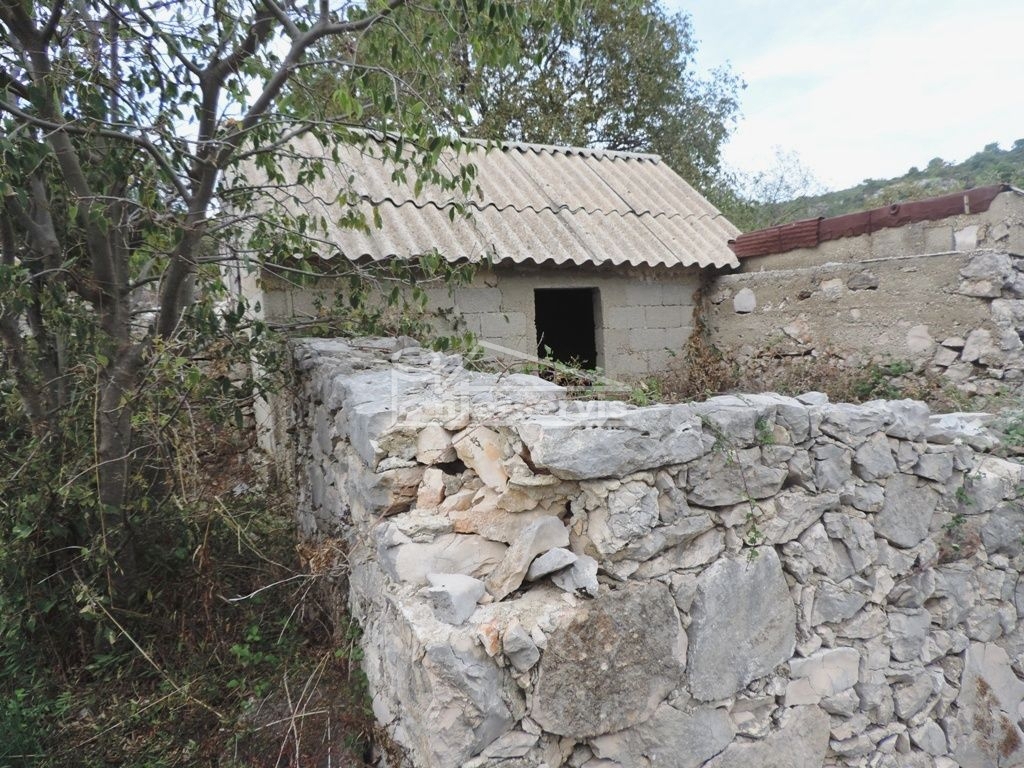 image 14