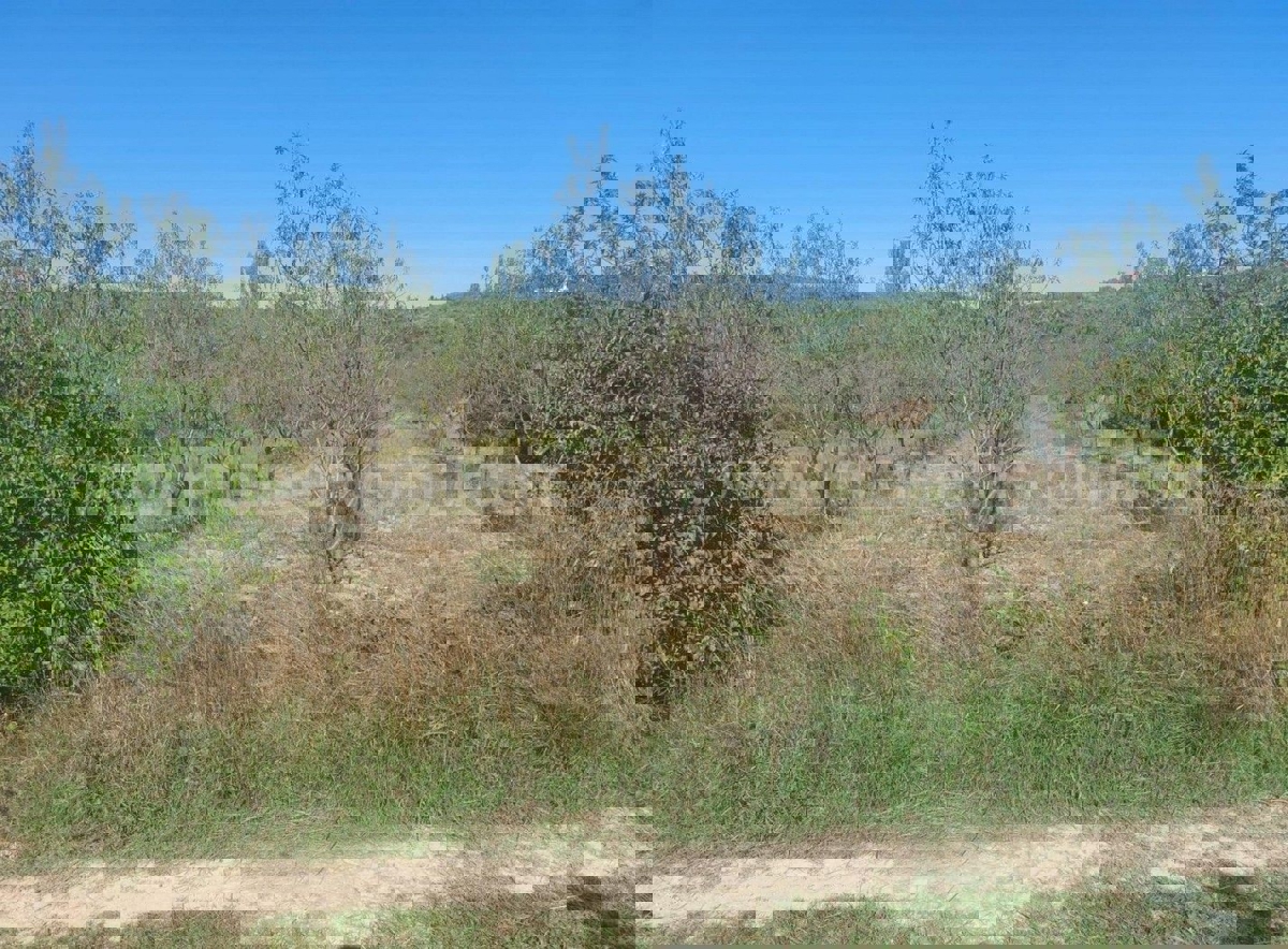 Участок SKRADIN, 47.090 €