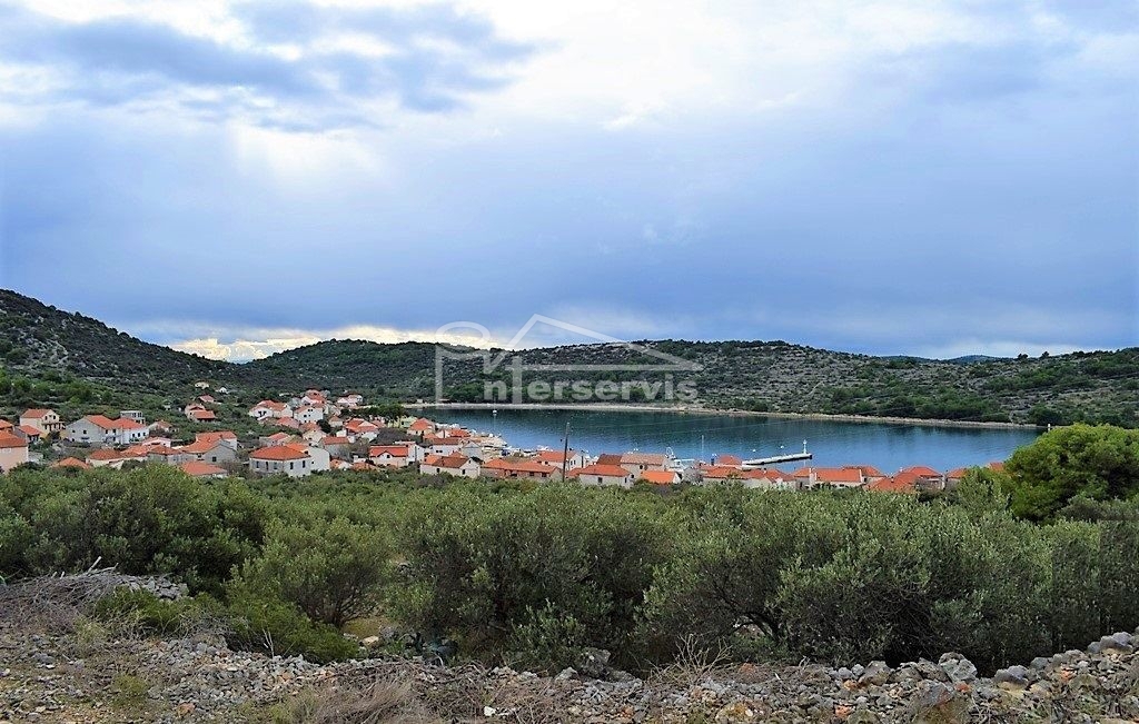image 10