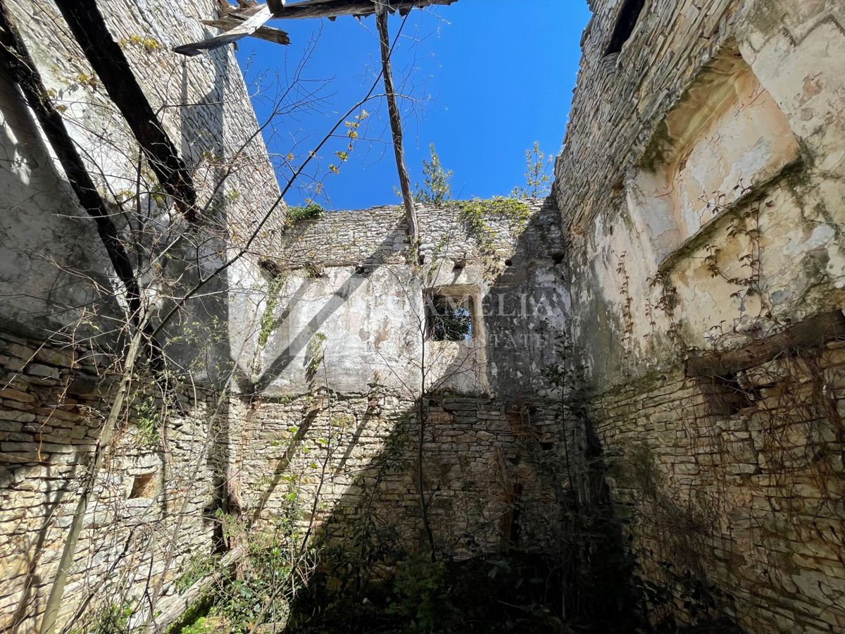 GLAVANI