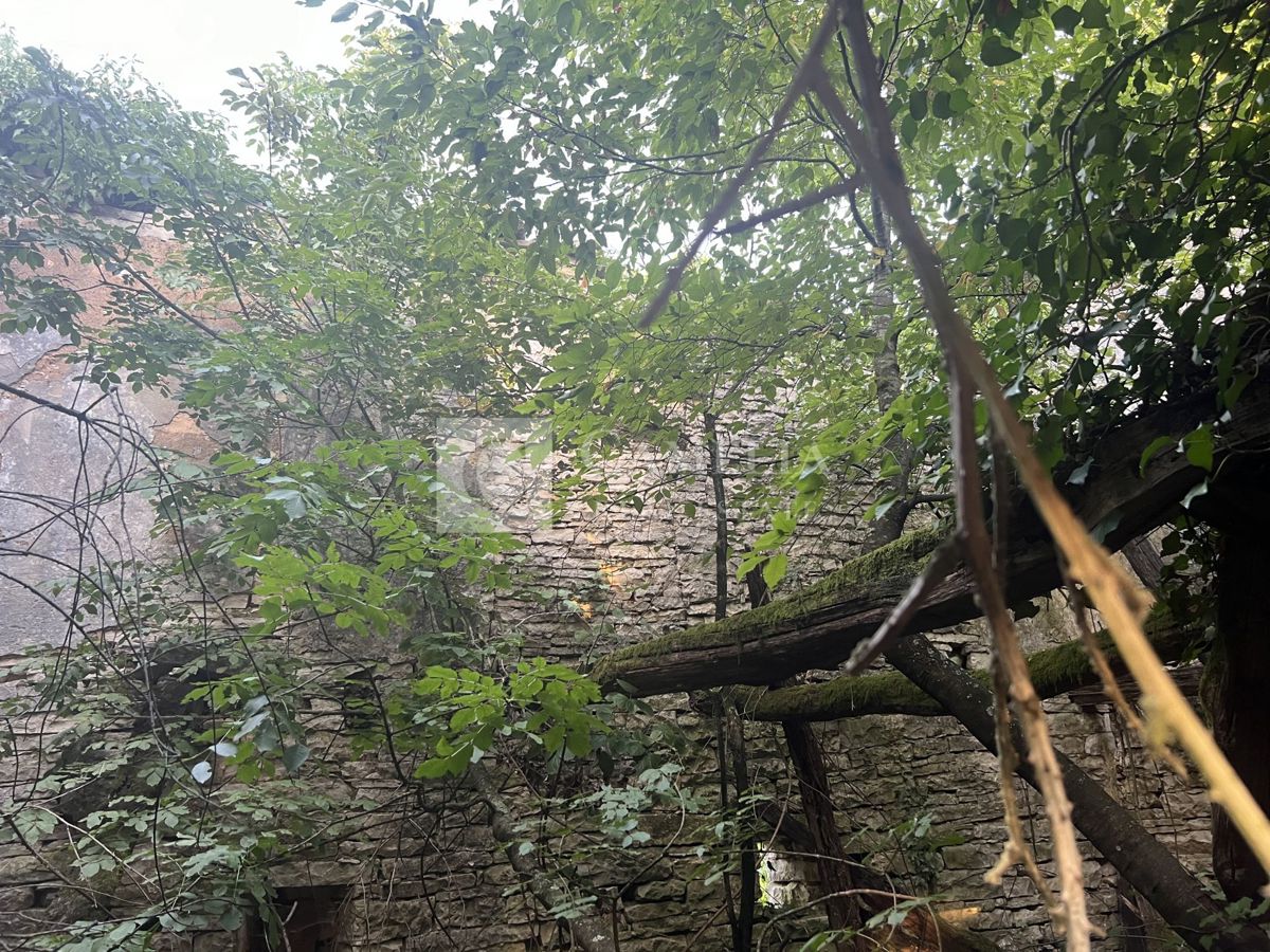 image 14