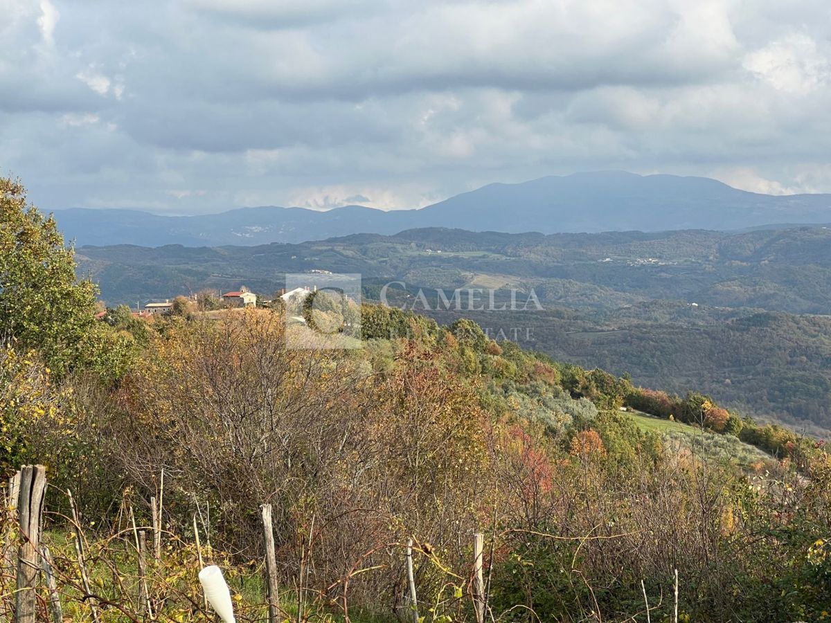 KAŠĆERGA