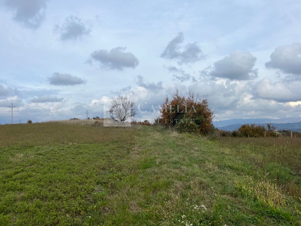 KAŠĆERGA