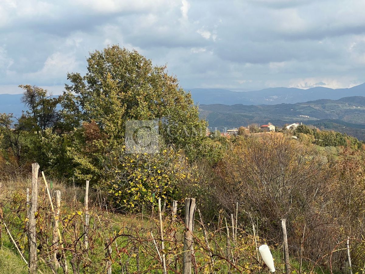 KAŠĆERGA