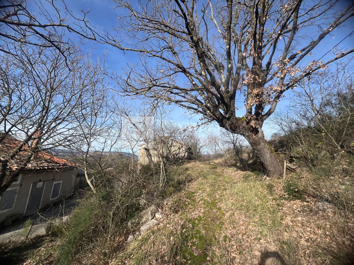SVETI IVAN