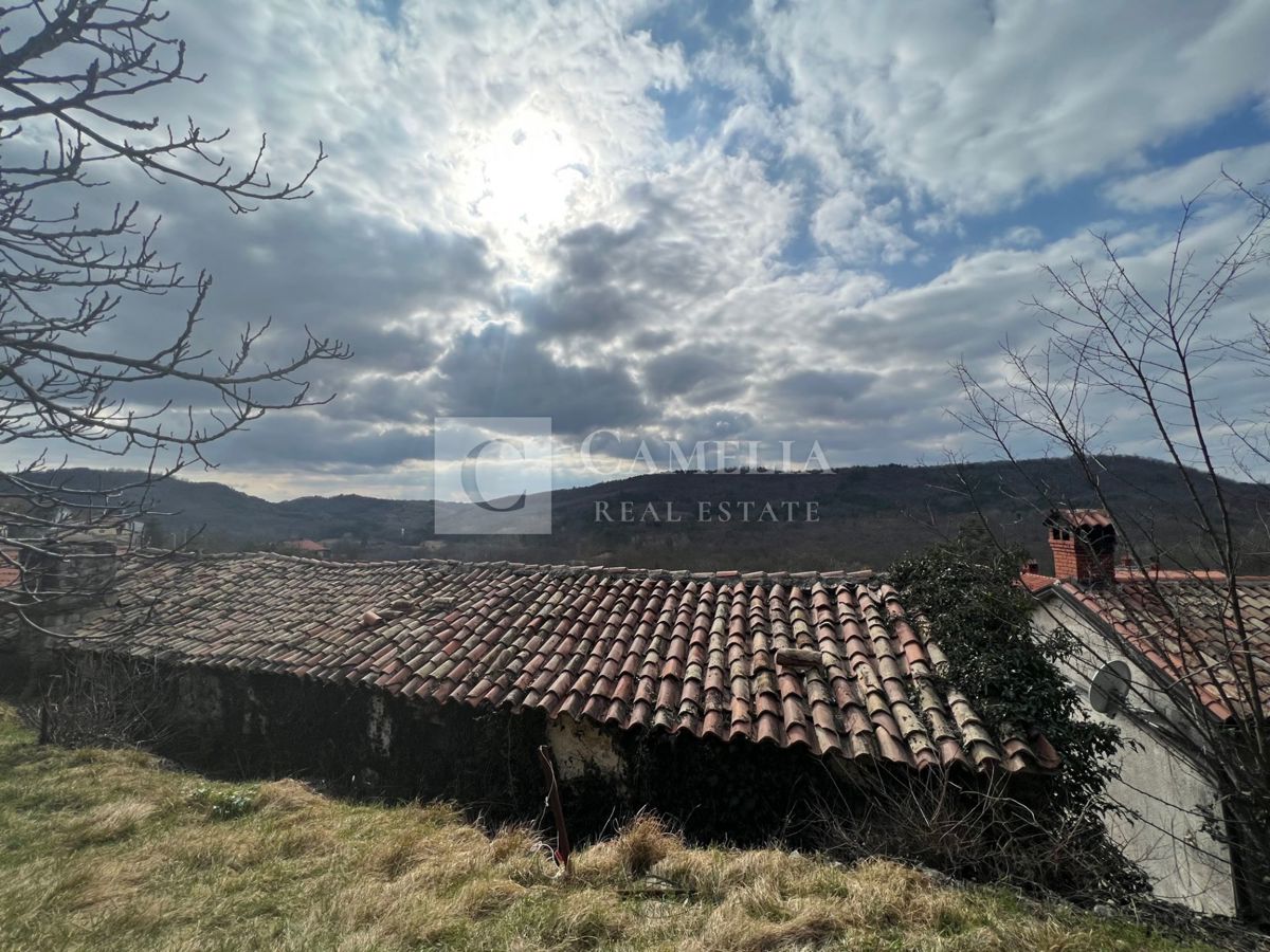 BRNOBIĆI