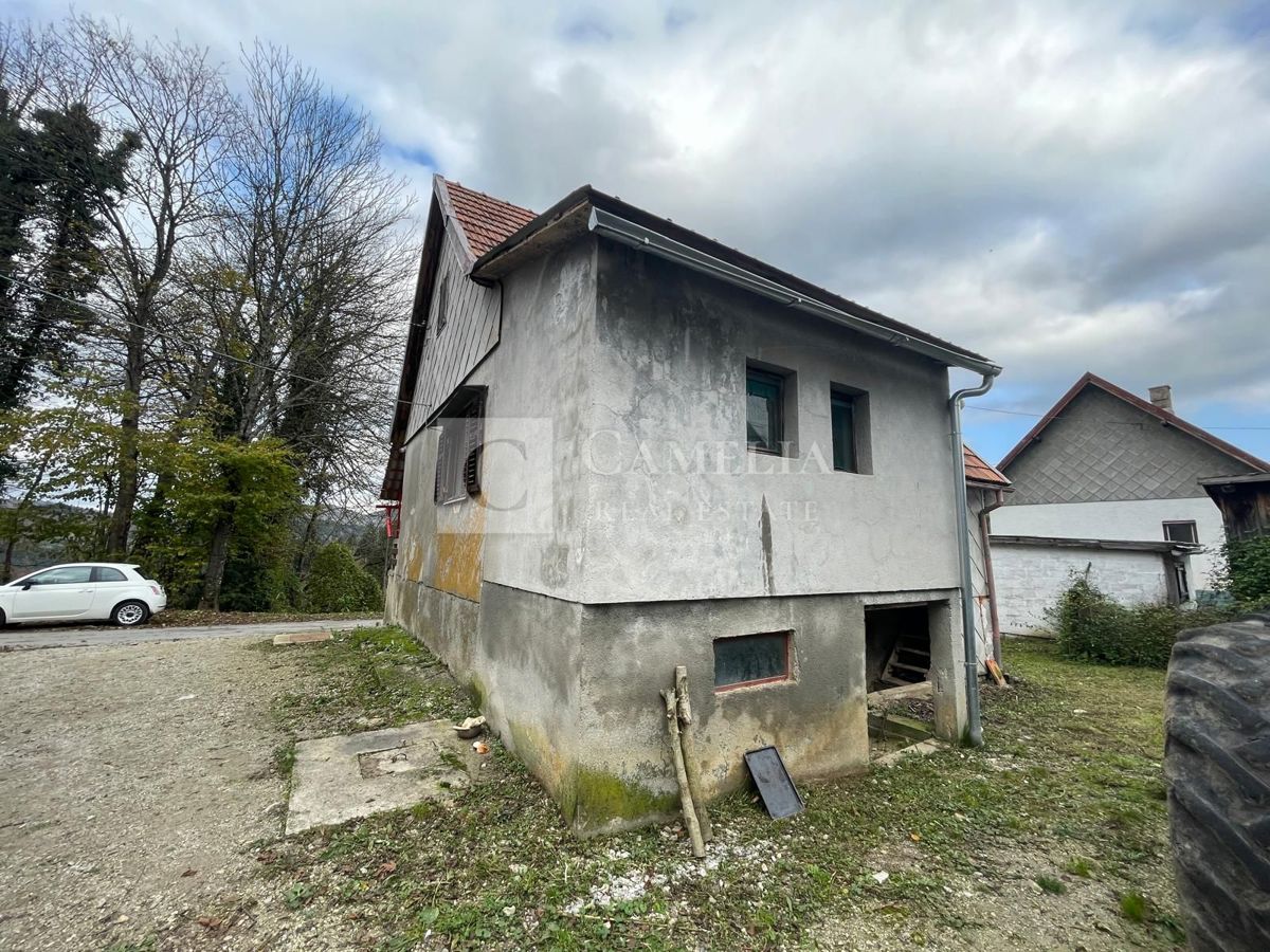 MORAVICE
