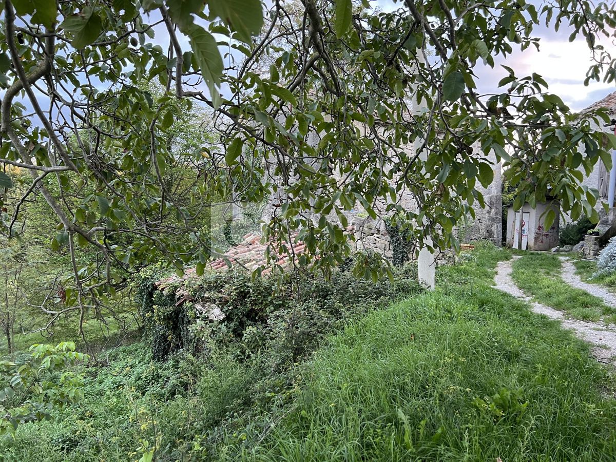 image 13