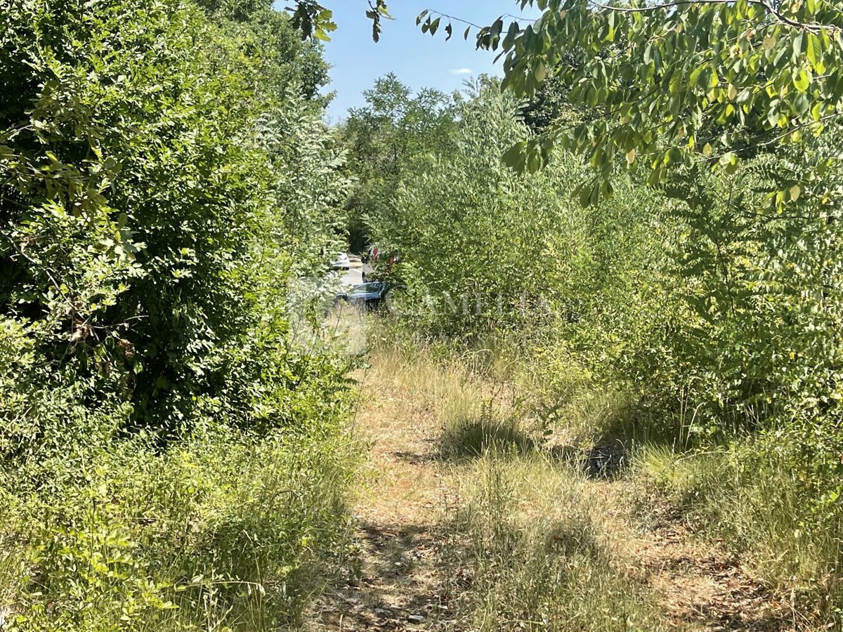 NOVAKI MOTOVUNSKI