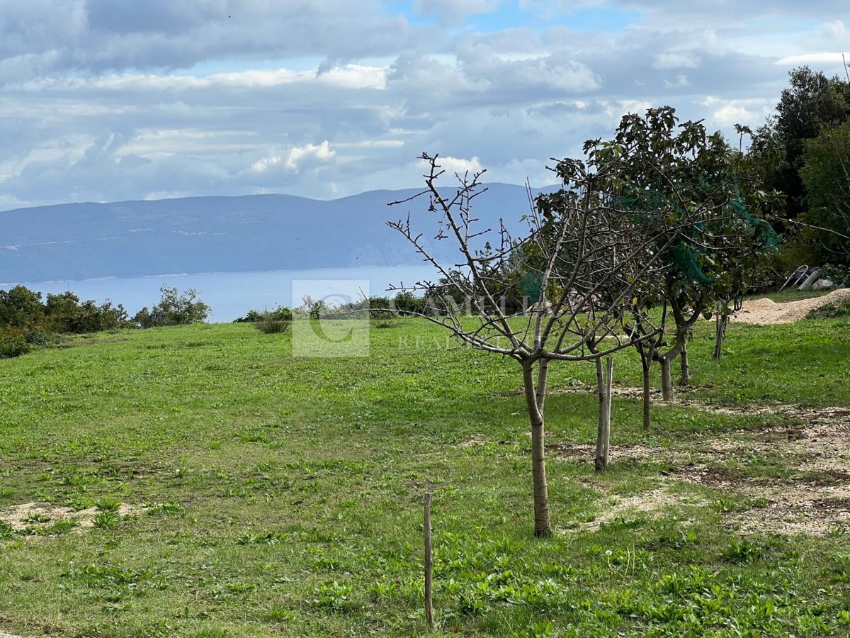 GONDOLIĆI