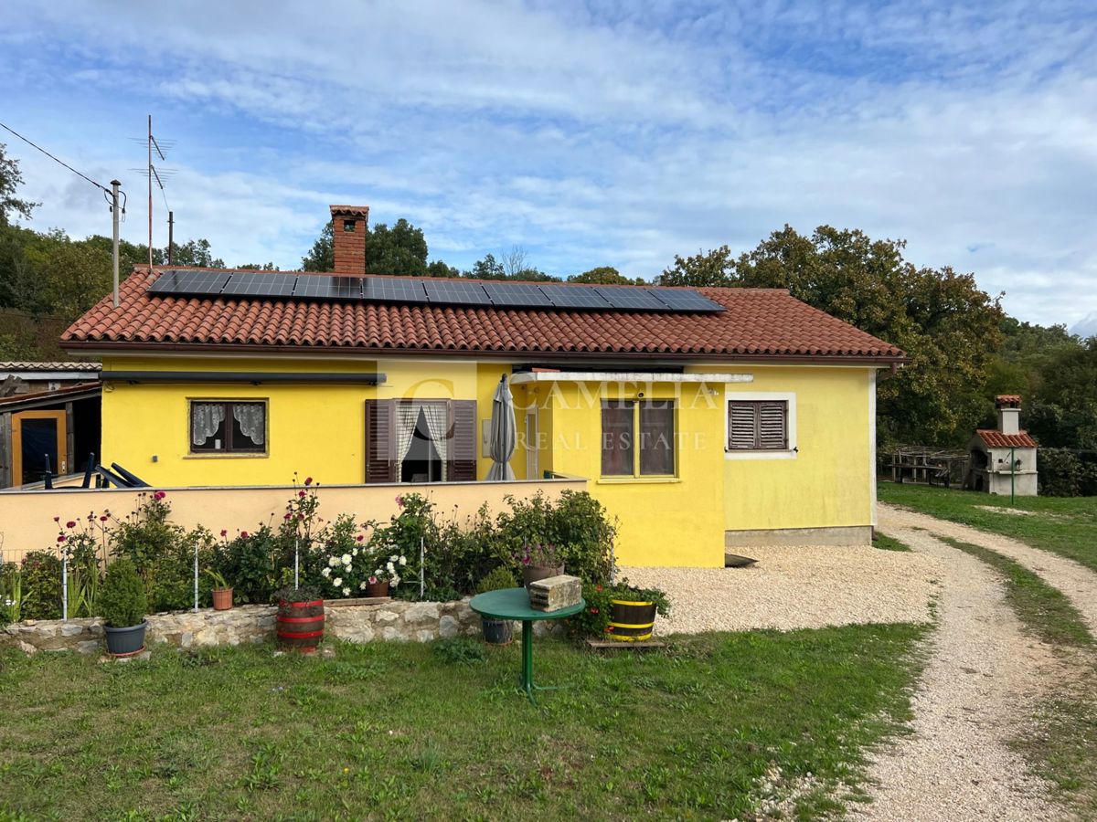 GONDOLIĆI