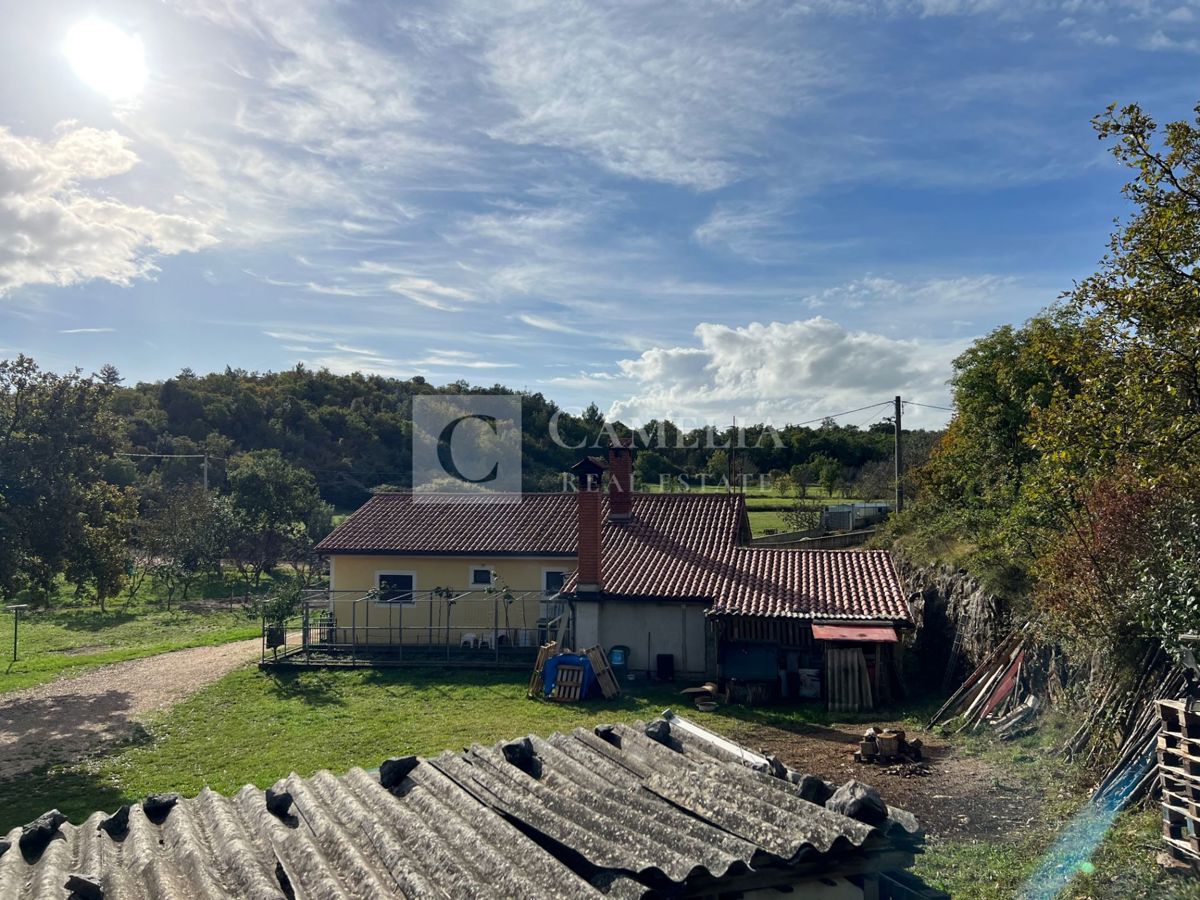 GONDOLIĆI