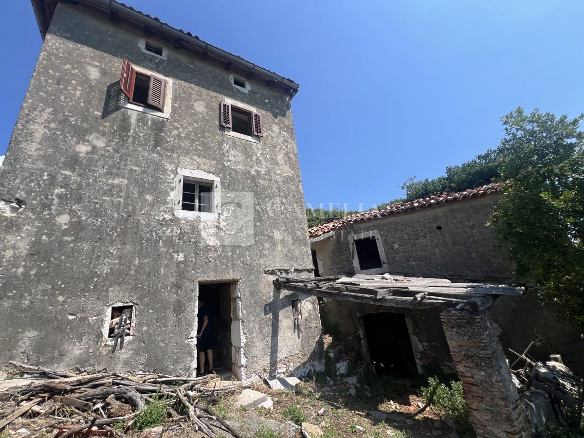 image 15
