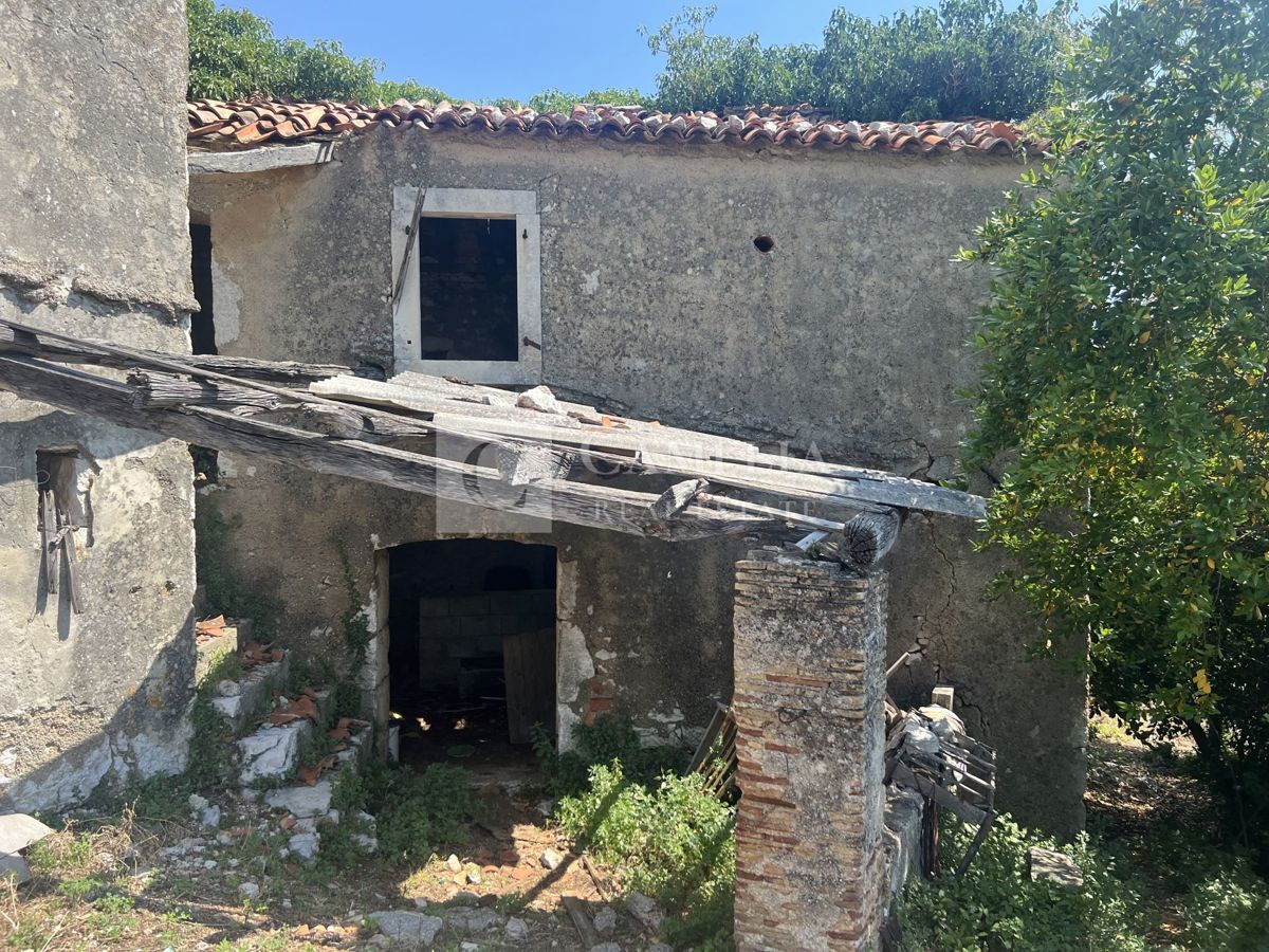 image 14