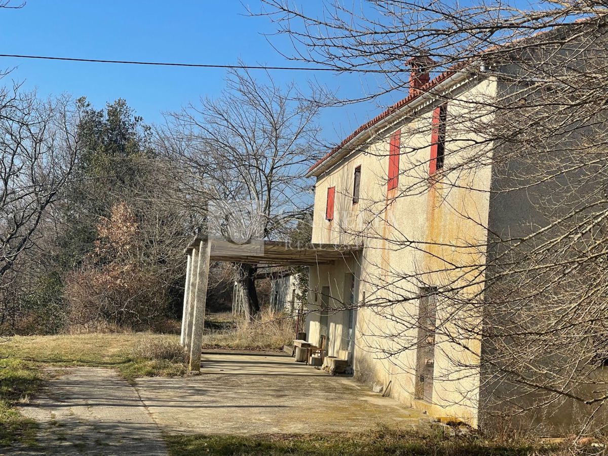 PIĆAN