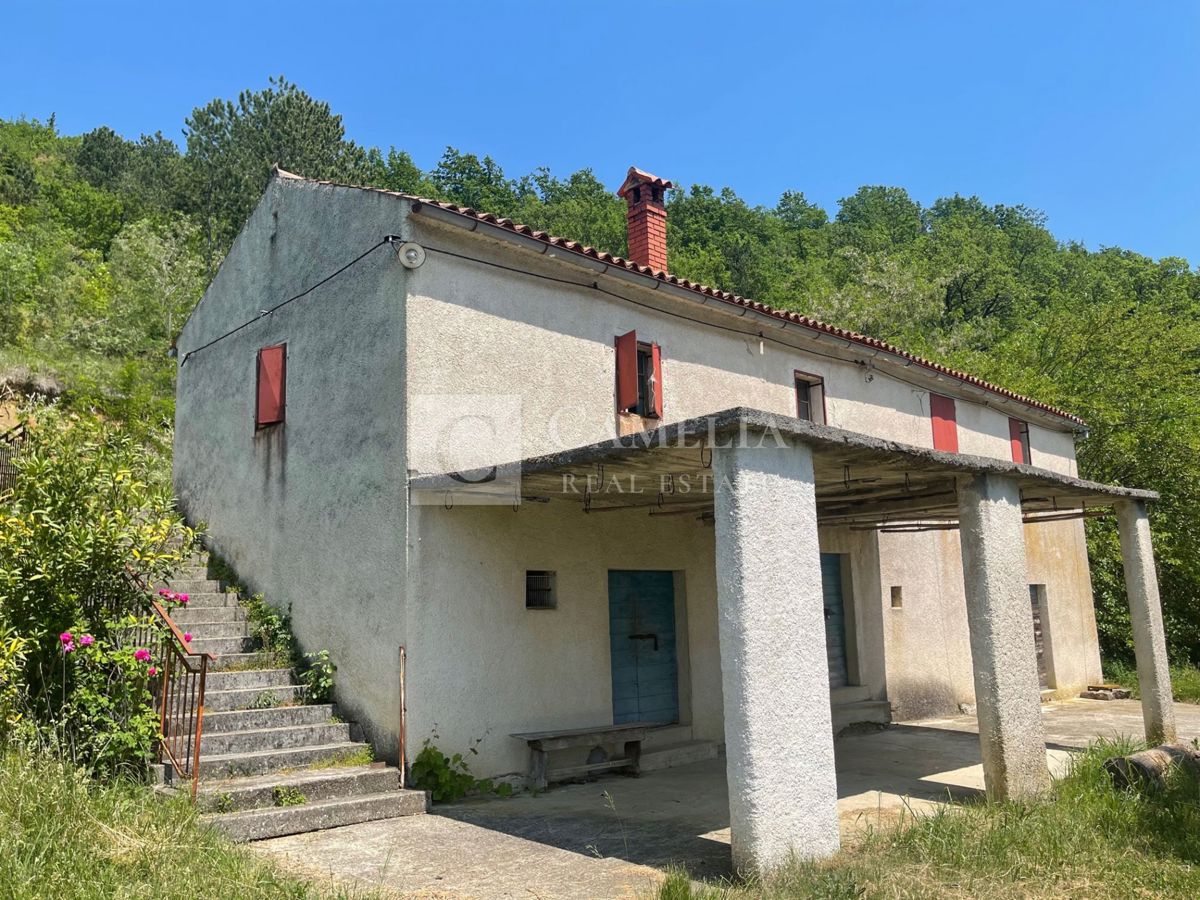 image 13