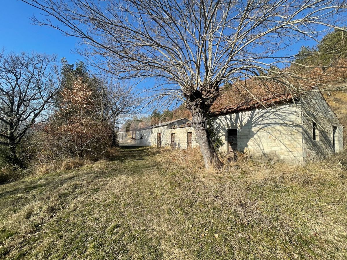 PIĆAN