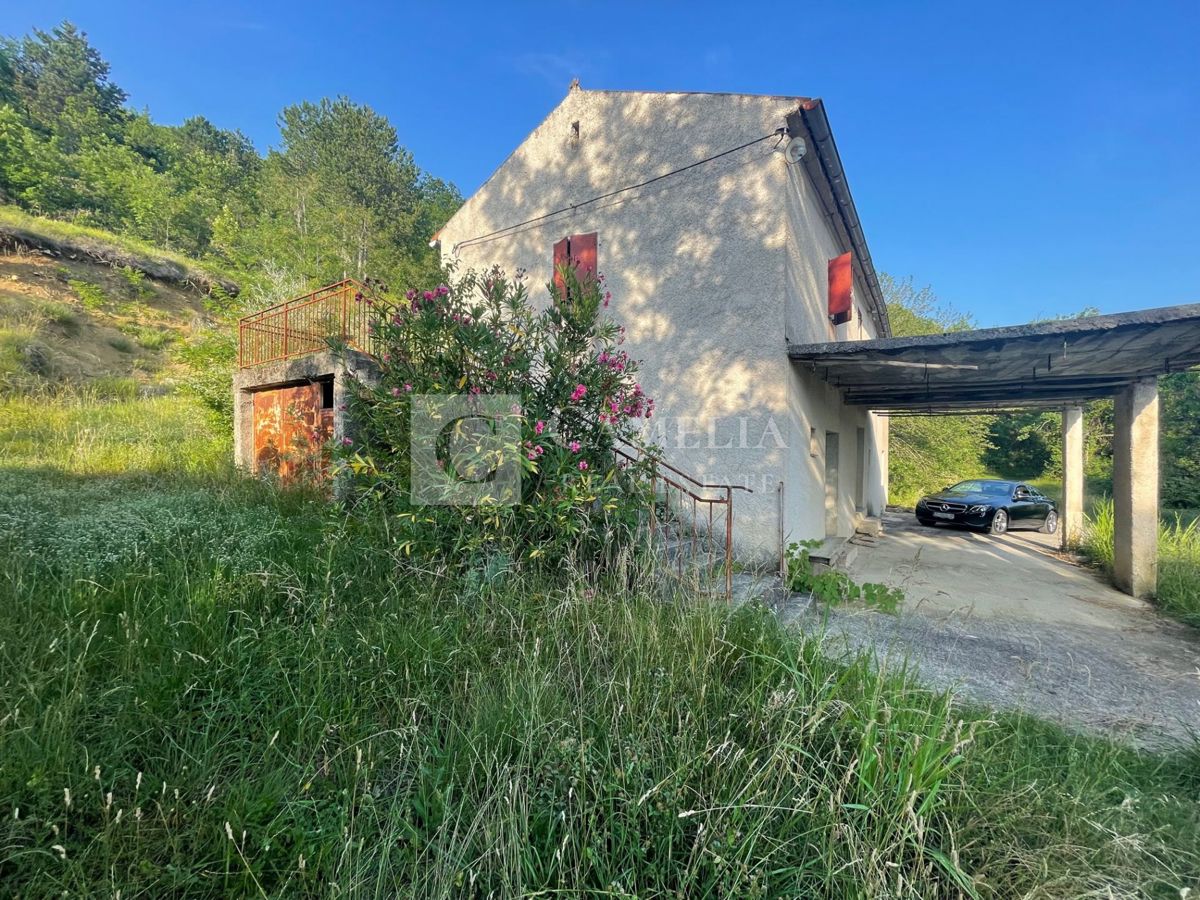 image 14