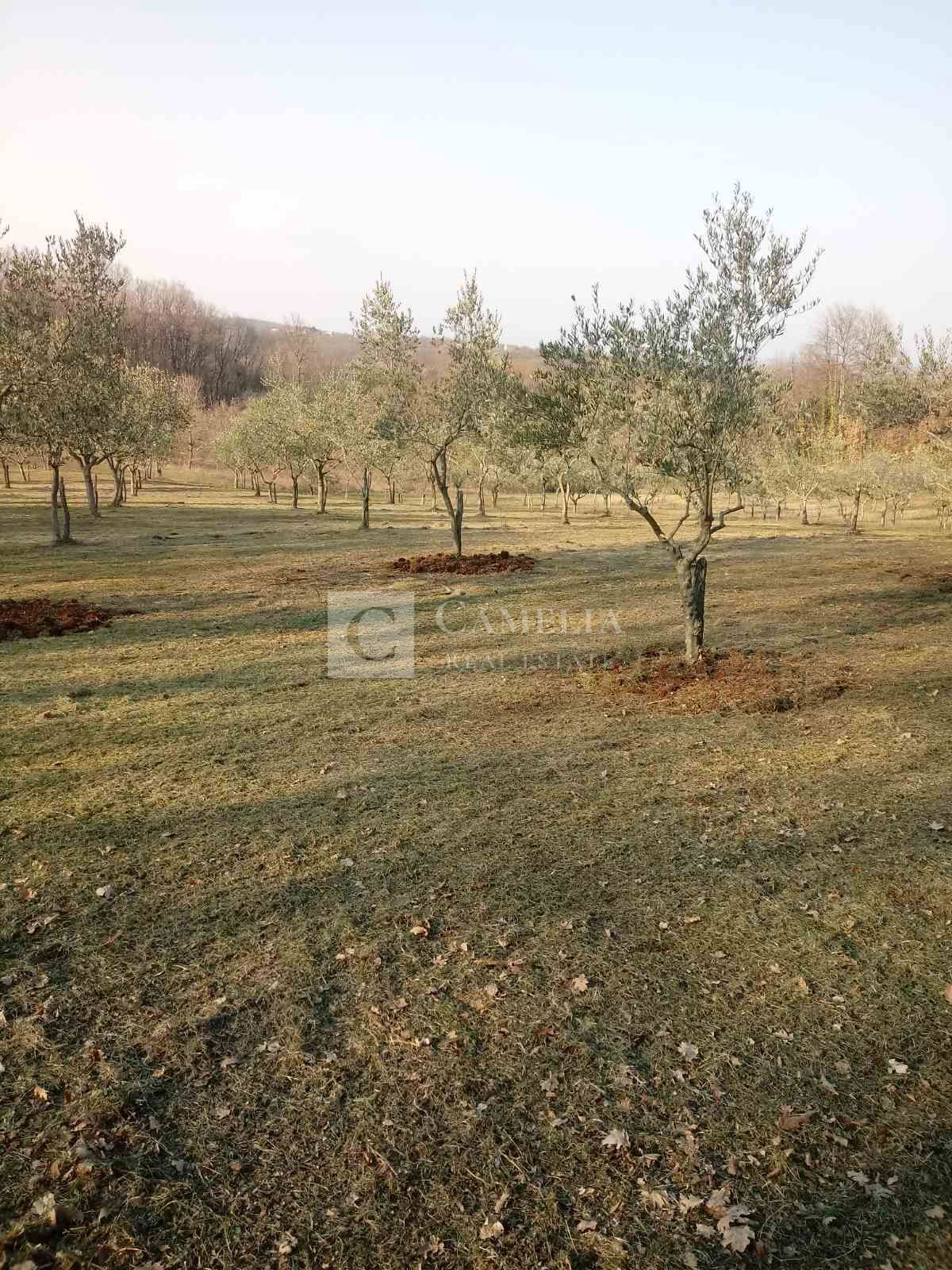 BARBAN