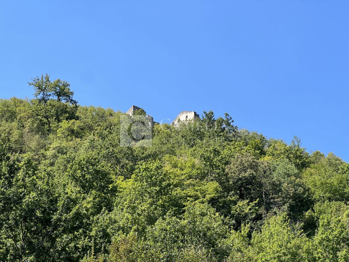 ZRENJ