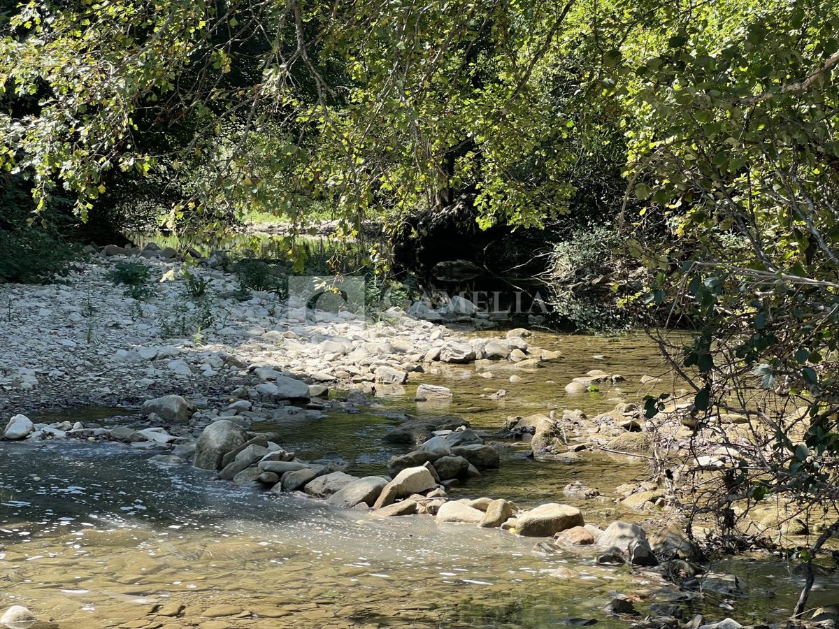 image 17