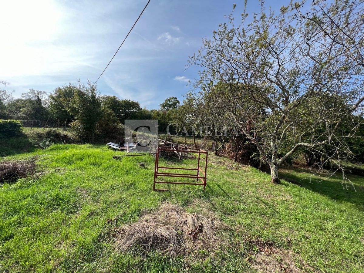 image 14
