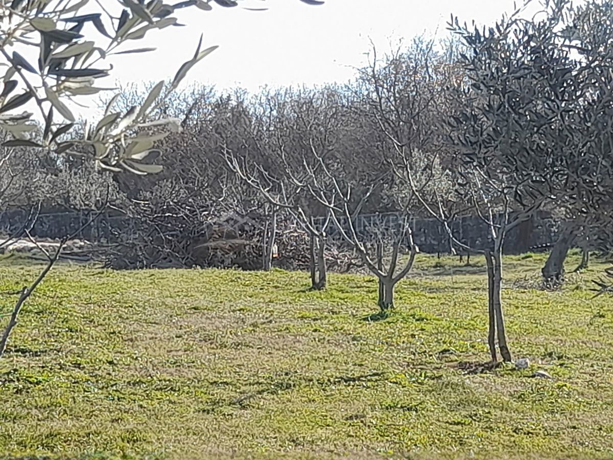 PERUŠKI