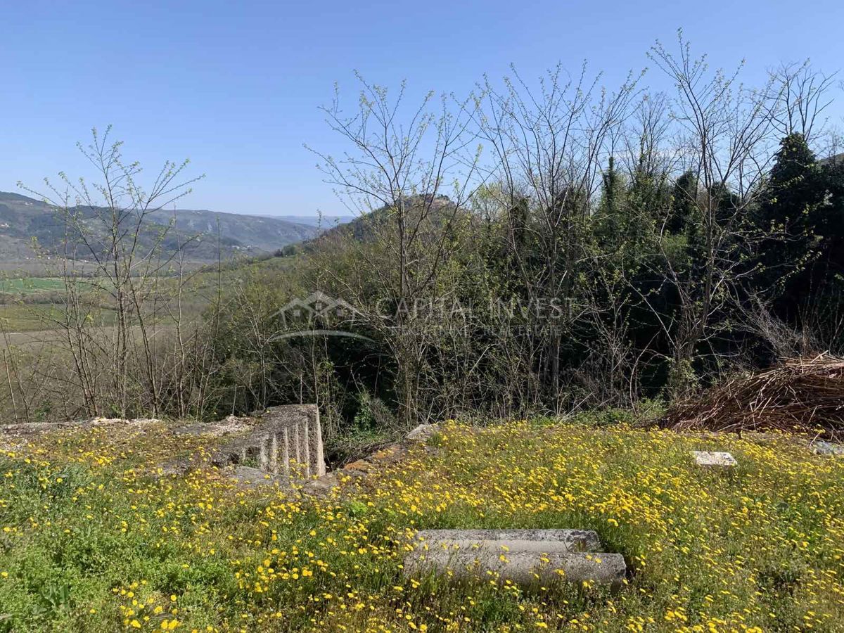 MOTOVUN