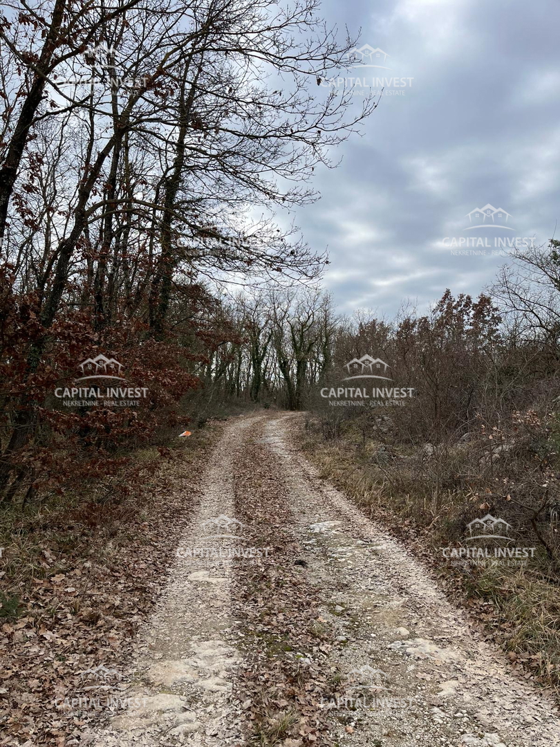 SVETI LOVREČ PAZENATIČKI