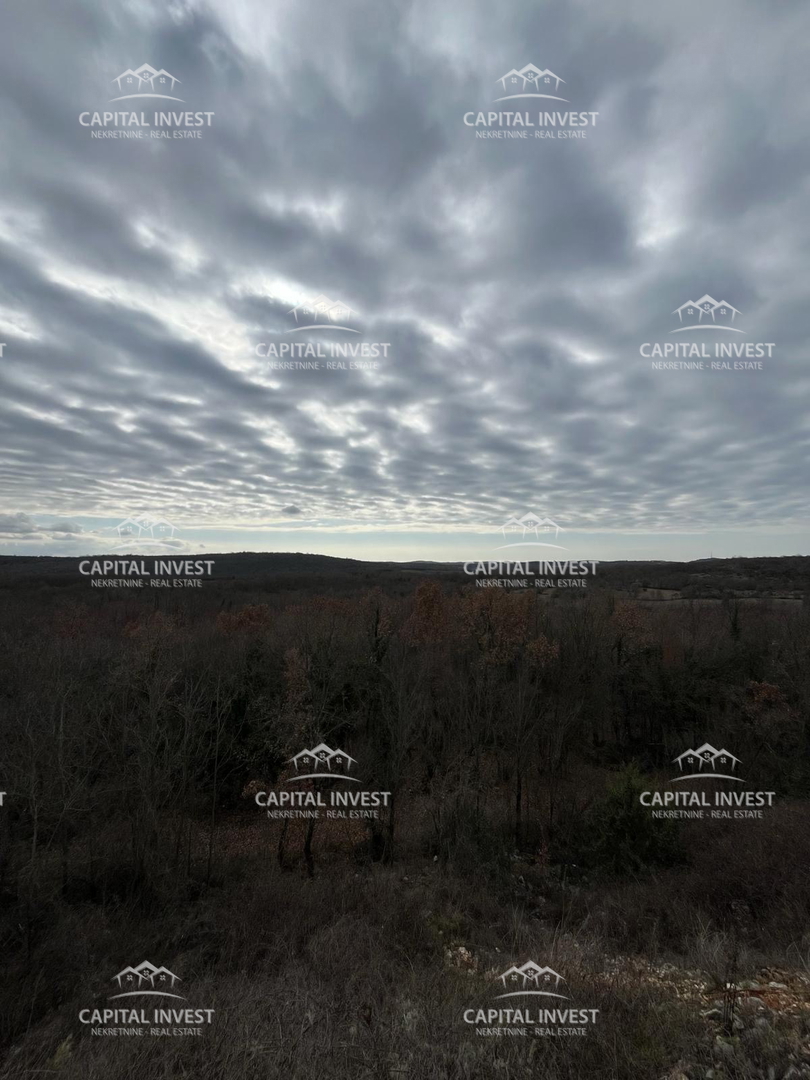 SVETI LOVREČ PAZENATIČKI