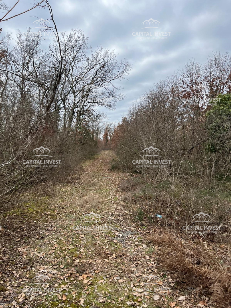 SVETI LOVREČ PAZENATIČKI