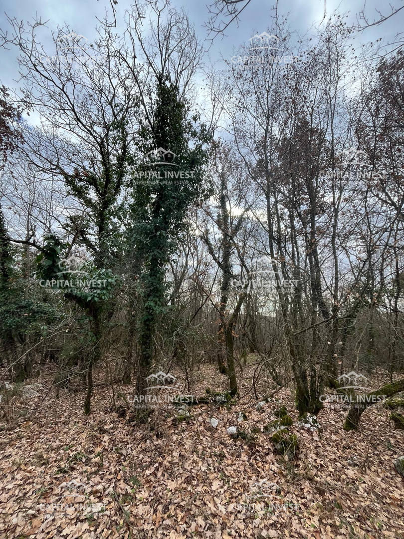 SVETI LOVREČ PAZENATIČKI