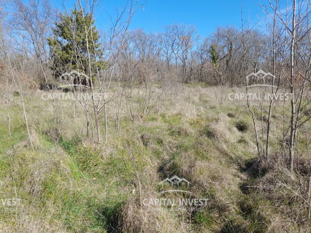 Terreno MARČANA, 49.000 €