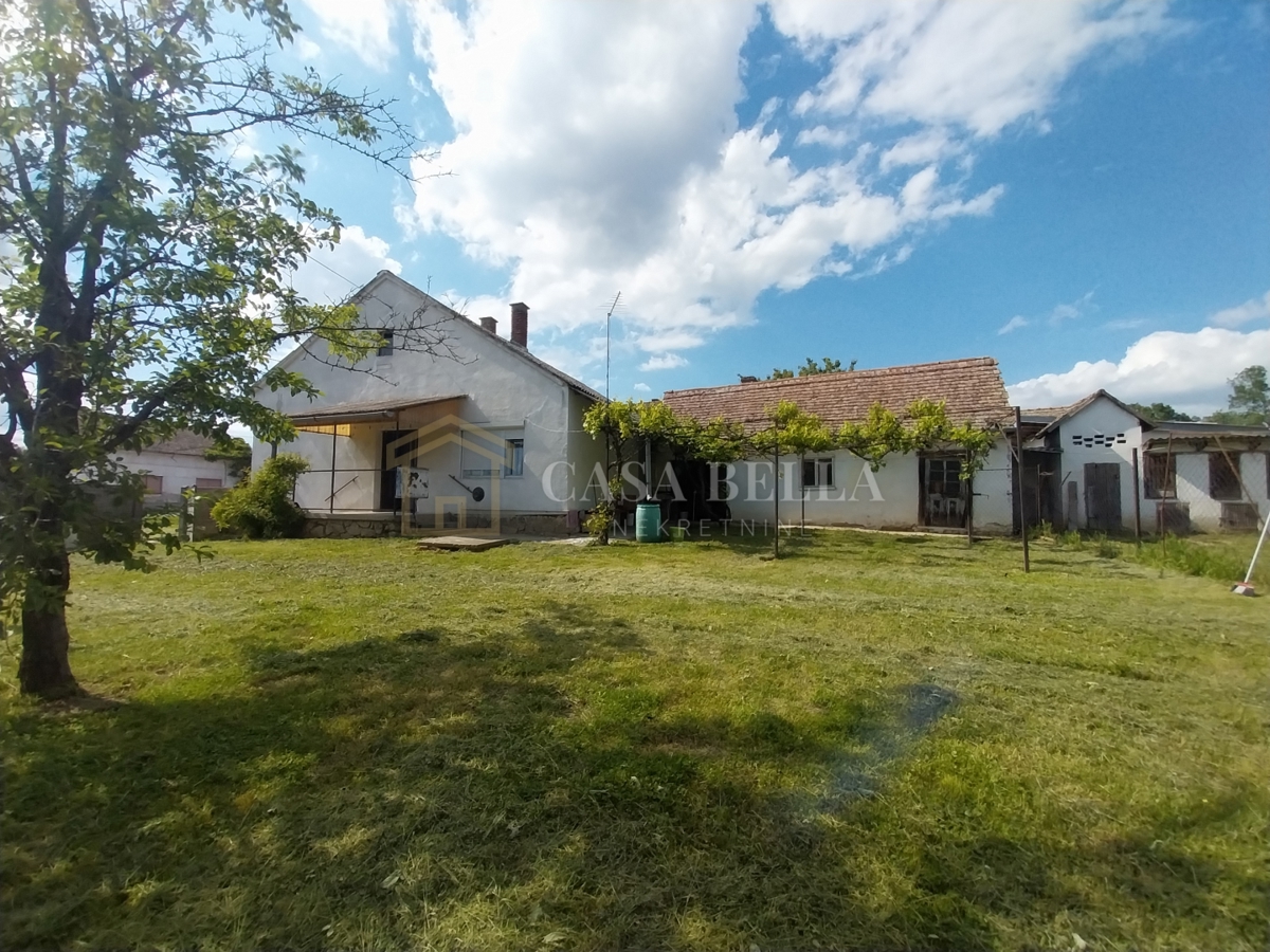 ČRNKOVCI