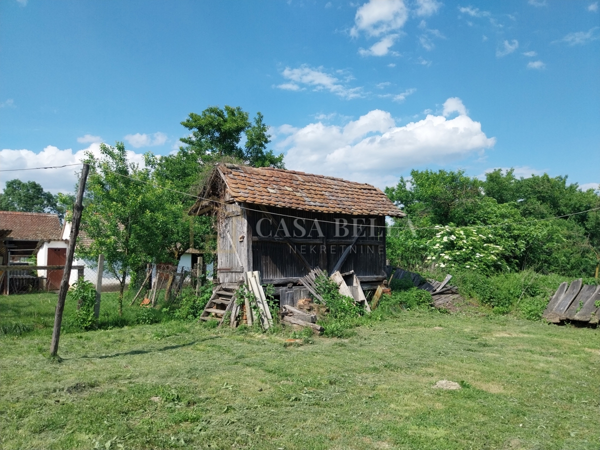 ČRNKOVCI